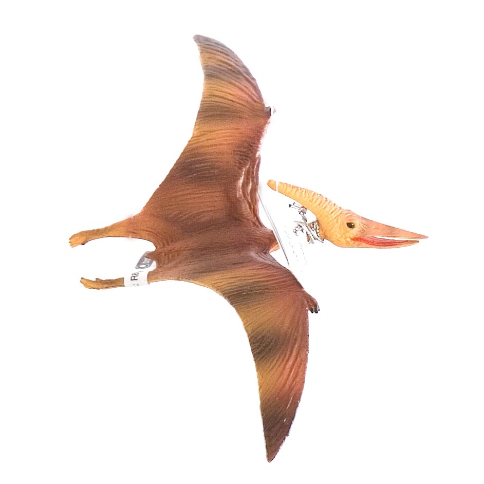 CollectA Pteranodon flying reptile model.