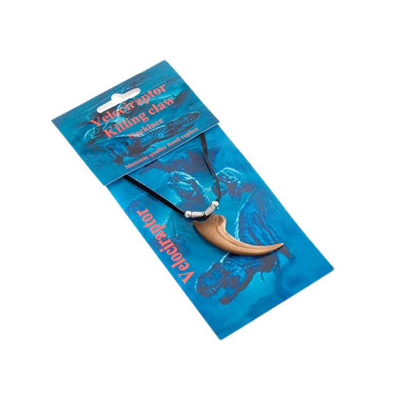 velociraptor claw fossil for sale
