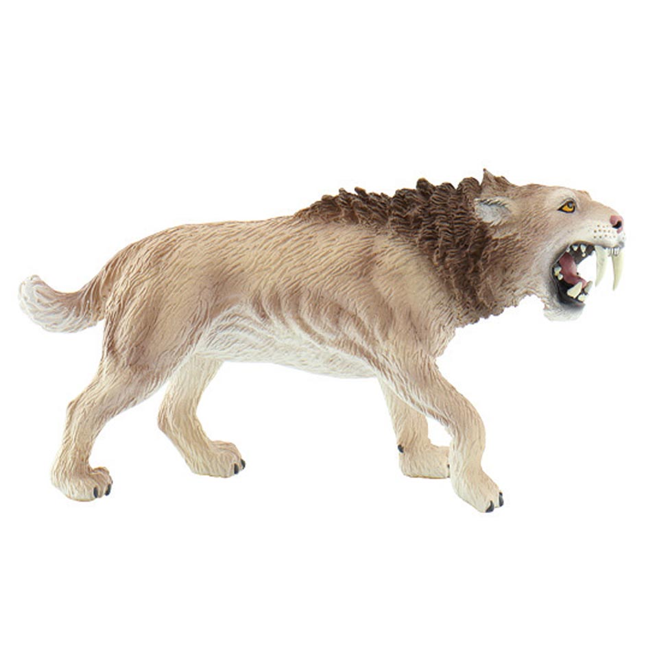 Sabre-Tooth with Mane (Smilodon)