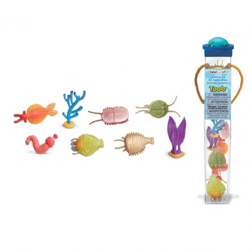 Cambrian era tube.