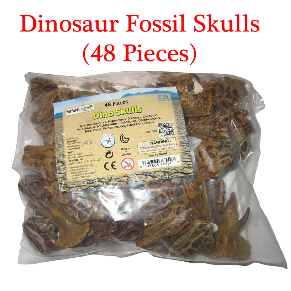 Pack of 48 dinosaur fossil skulls.