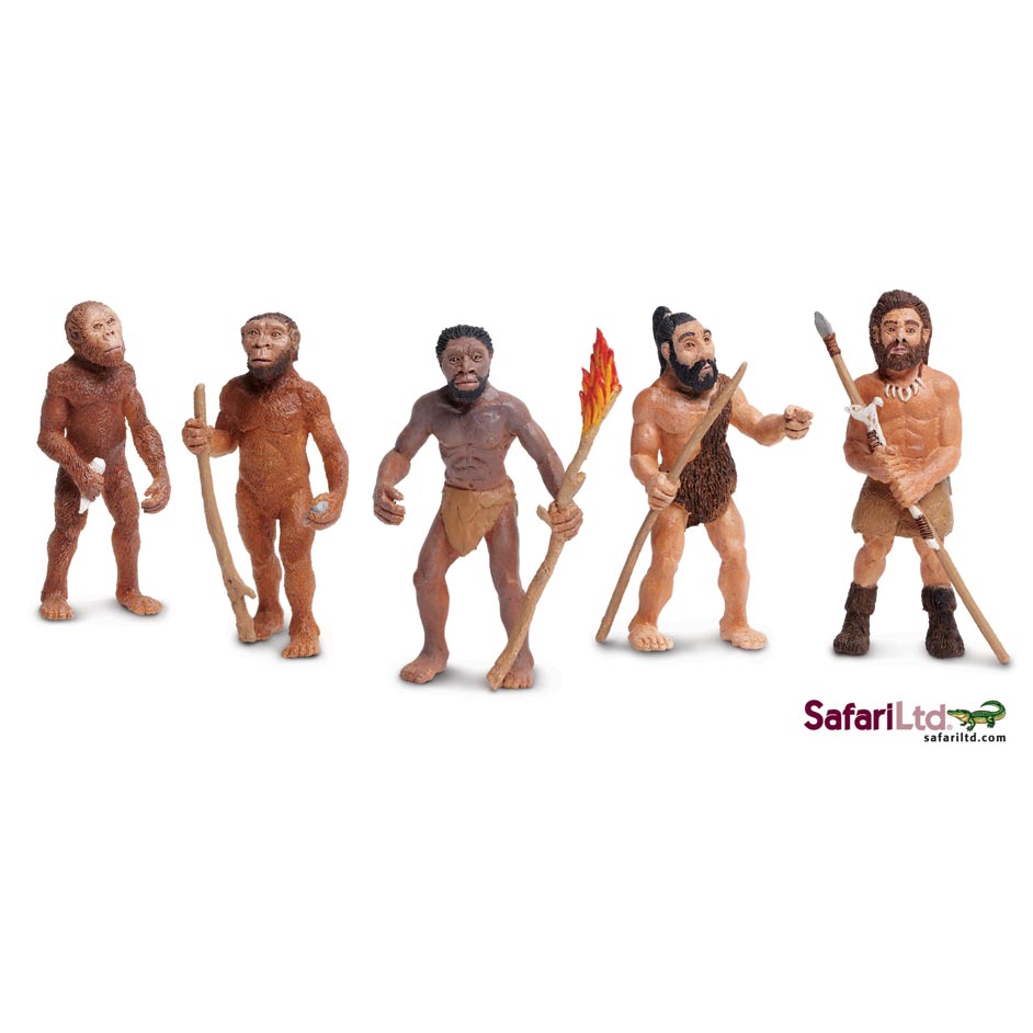 Evolution of man model set (5 pieces).