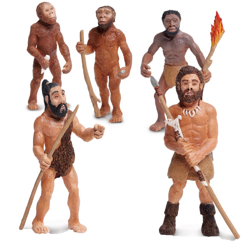 Evolution of man model set (5 pieces).