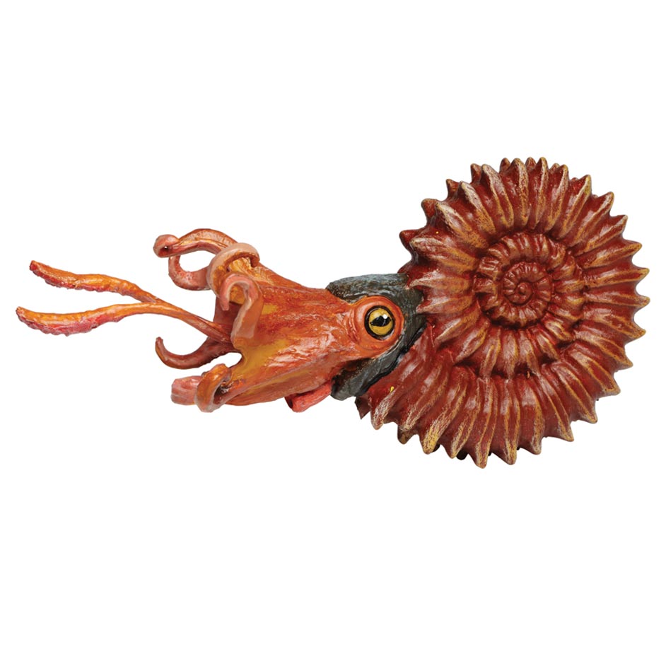 Wild Safari Ammonite Model