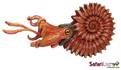 Wild Safari Ammonite Model