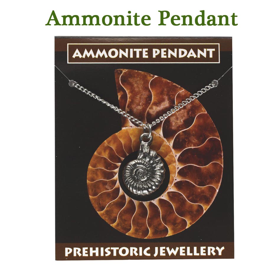 Ammonite Pendant