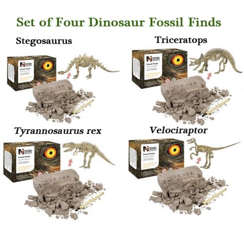 Fossil find dig kits.