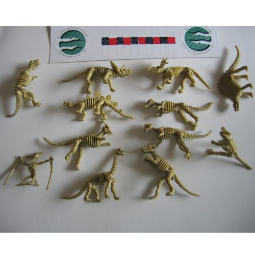Models of dinosaur skeletons.