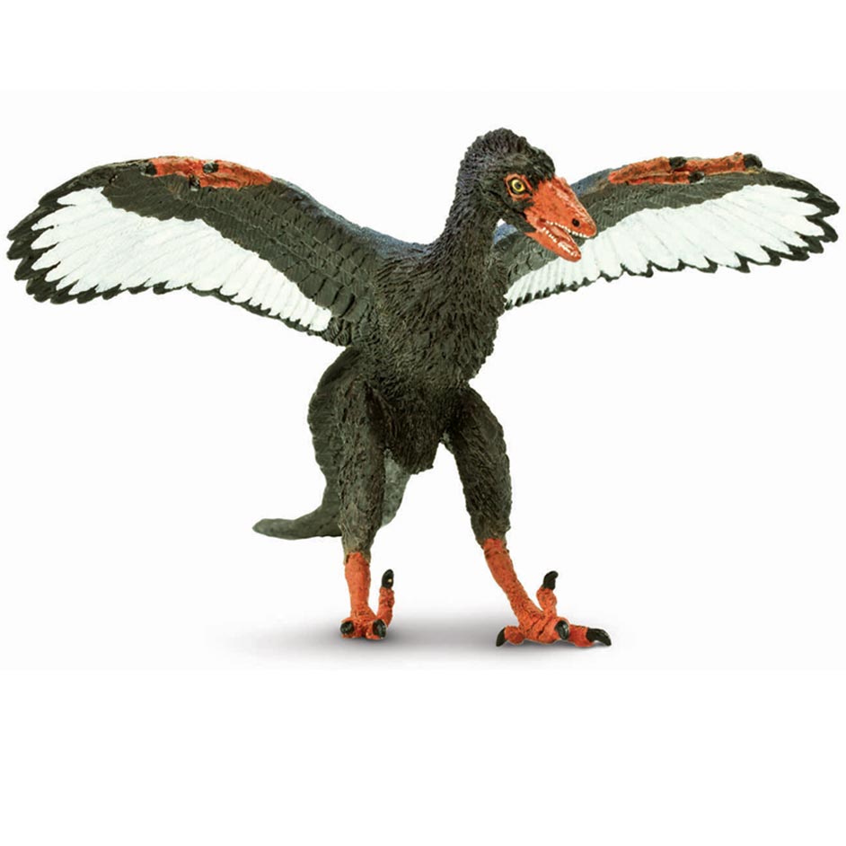 Archaeopteryx pronunciation