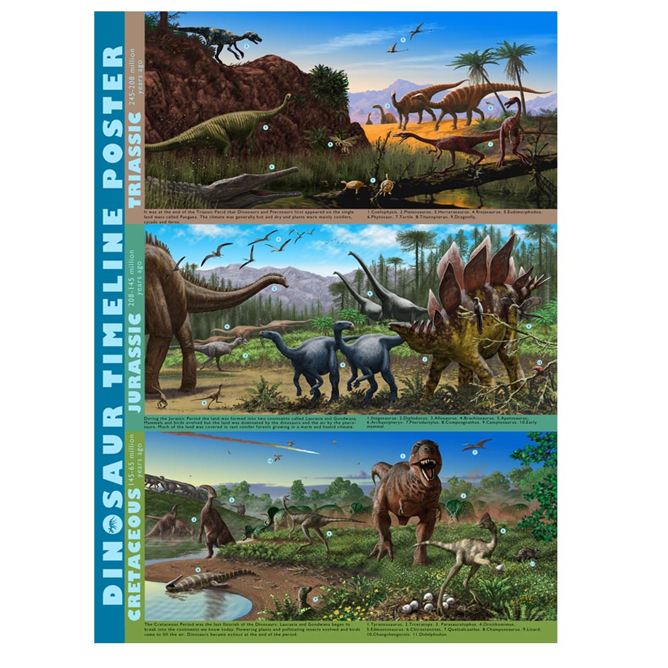 Dinosaur Timeline Poster Dinosaur Timeline Poster