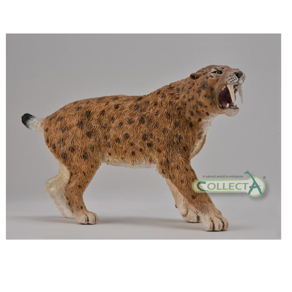 CollectA deluxe Smilodon.