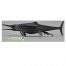 CollectA Temnodontosaurus platyodon (birthing)
