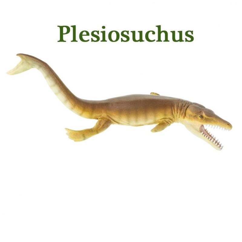 safari ltd plesiosuchus