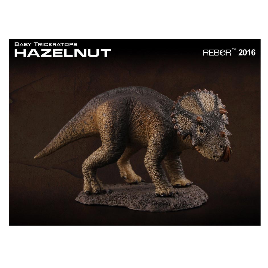 Rebor "Hazelnut" Triceratops dinosaur.