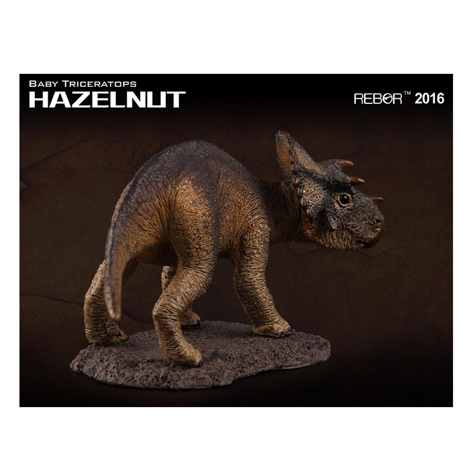 Rebor "Hazelnut" Triceratops dinosaur.