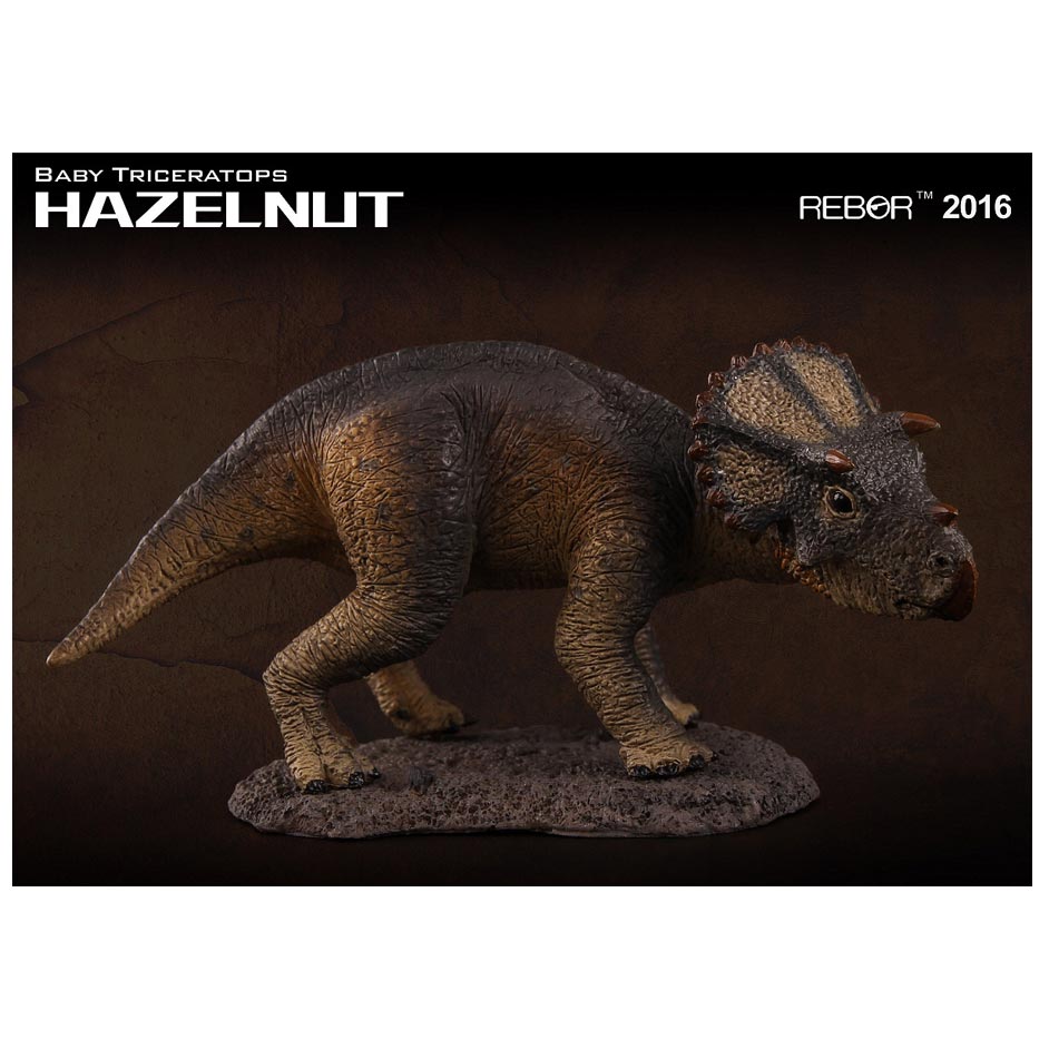 Rebor "Hazelnut" Triceratops dinosaur.