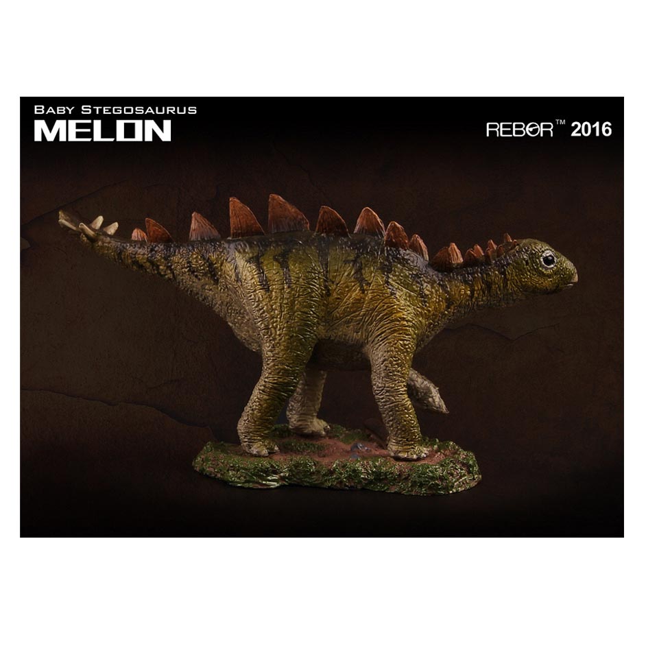 Rebor "Melon" Stegosaurus dinosaur.