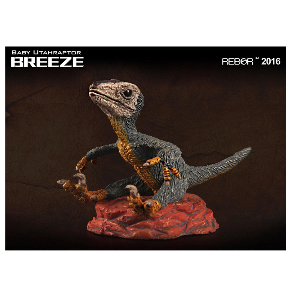 Rebor Baby Utahraptor model.