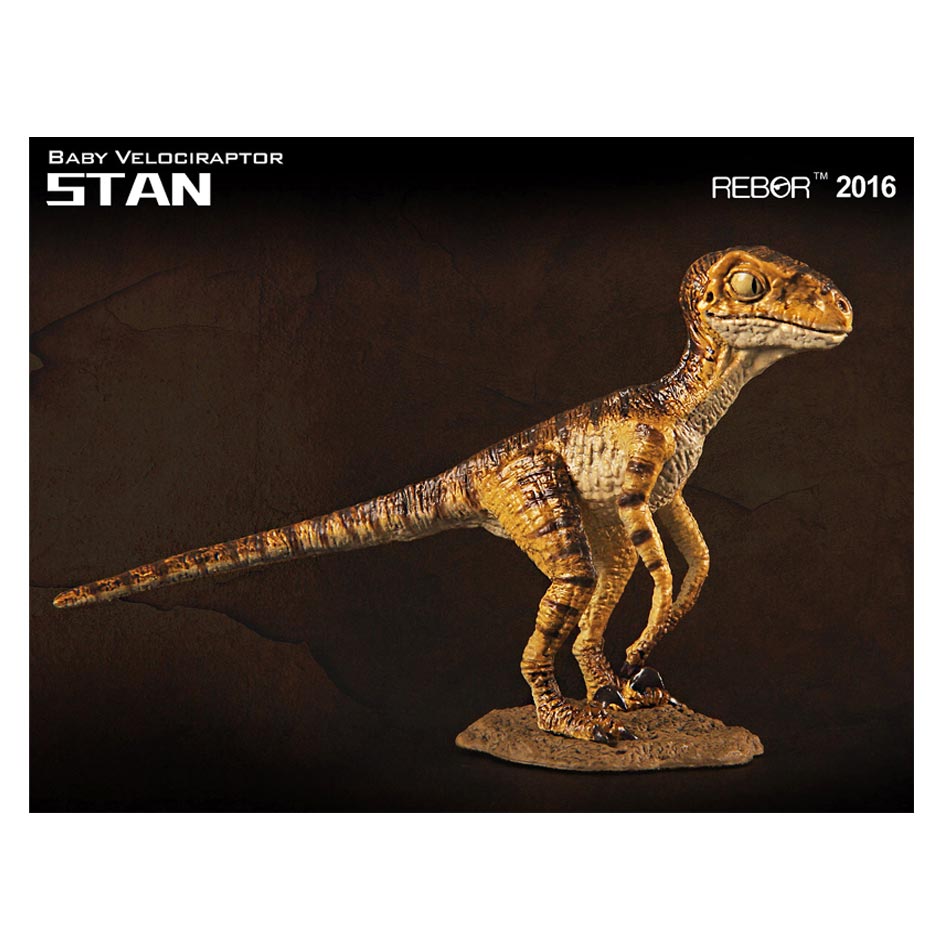 Rebor Velociraptor model "Stan".