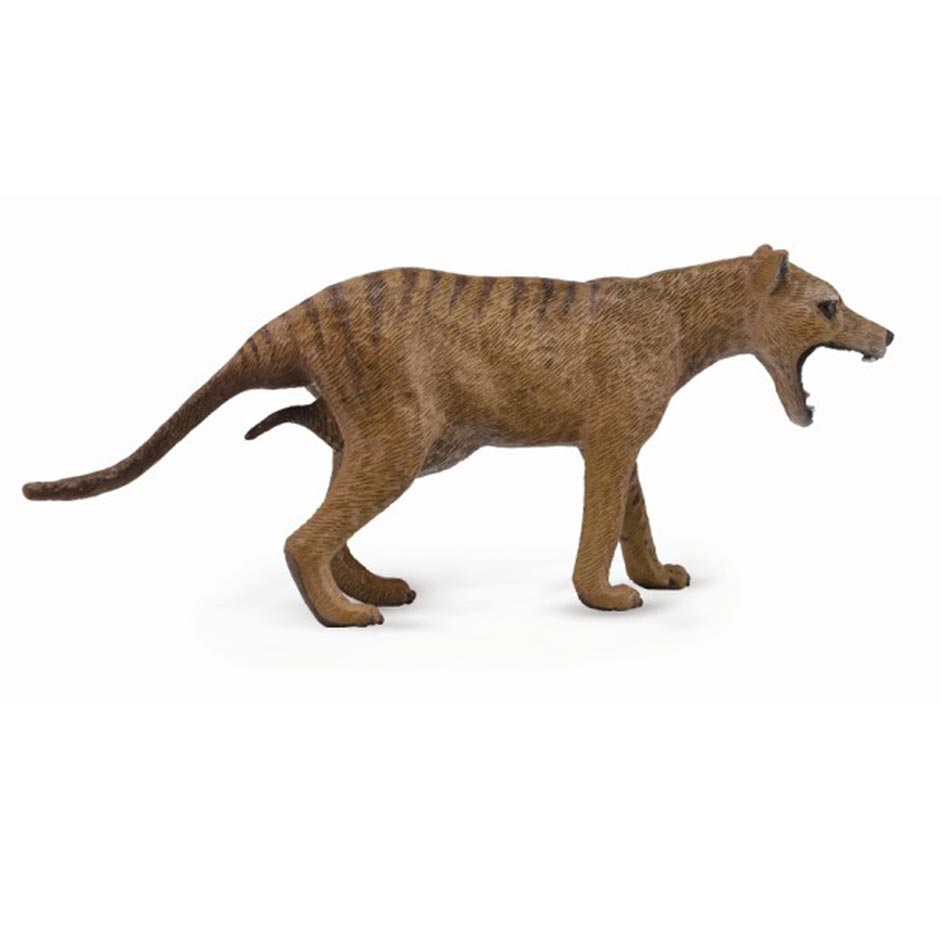 CollectA Tasmanian Tiger (Thylacine)