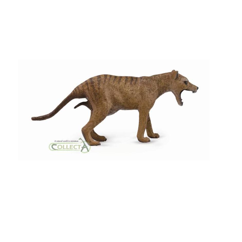 CollectA Thylacine (Tasmanian Tiger) Female Model