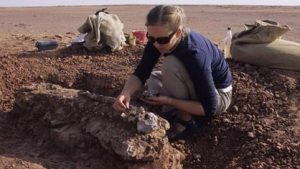 A palaeontologist excavating a fossil.