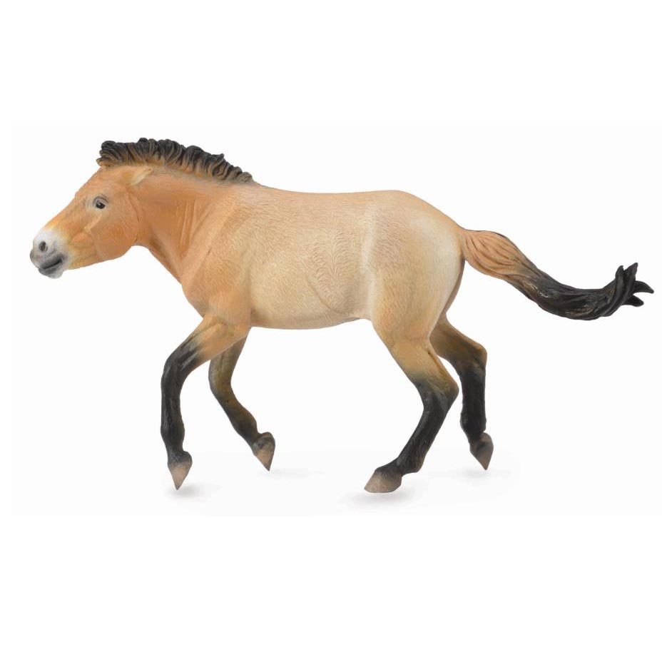 Collecta Przewalski's Horse