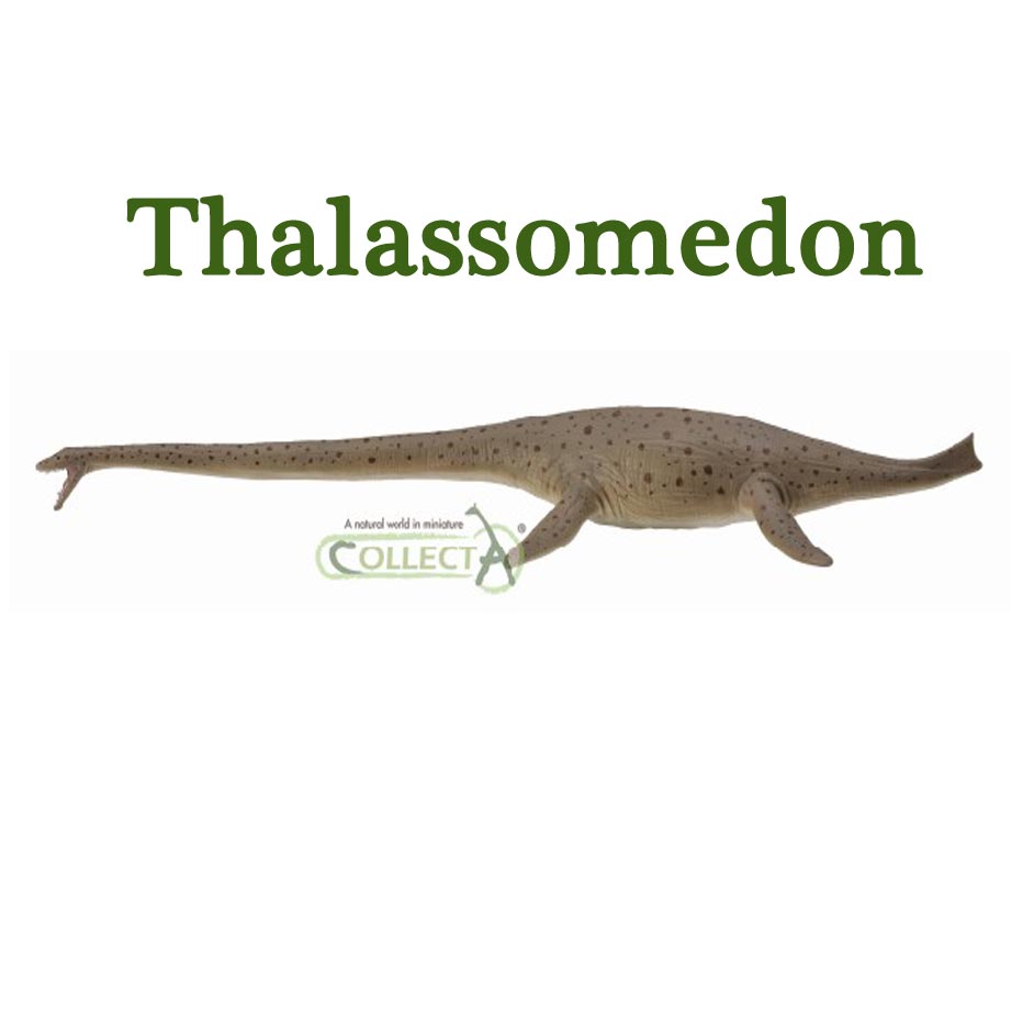 Collecta 1:40 Deluxe Thalassomedon
