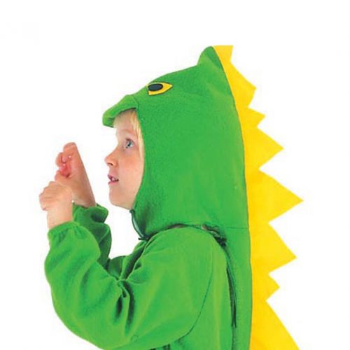 Dinosaur Dressing-up Costume (age 3)
