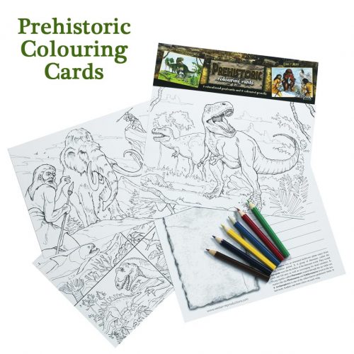 Dinosaur Colouring Cards