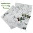 Dinosaur Colouring Posters