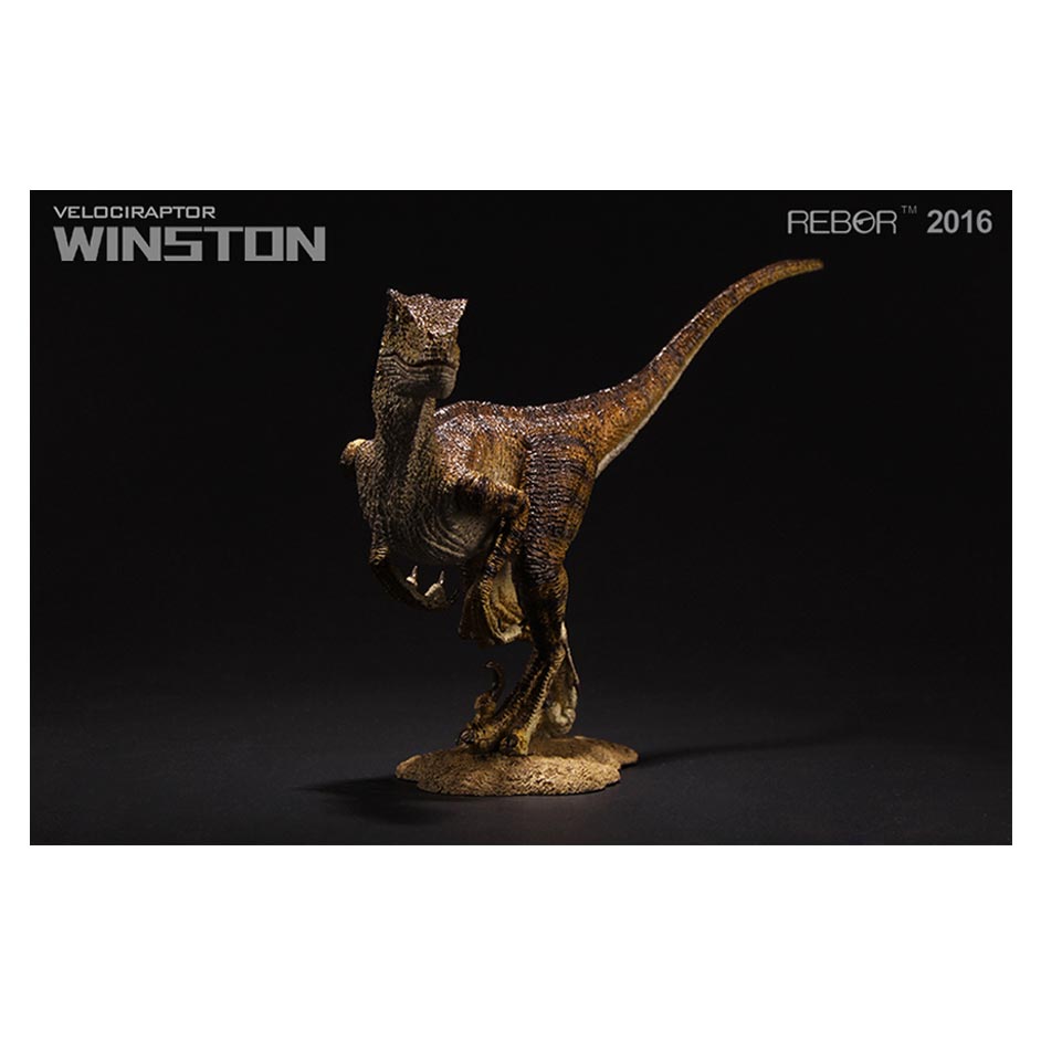 Rebor 1:18 Scale Velociraptor (Winston)