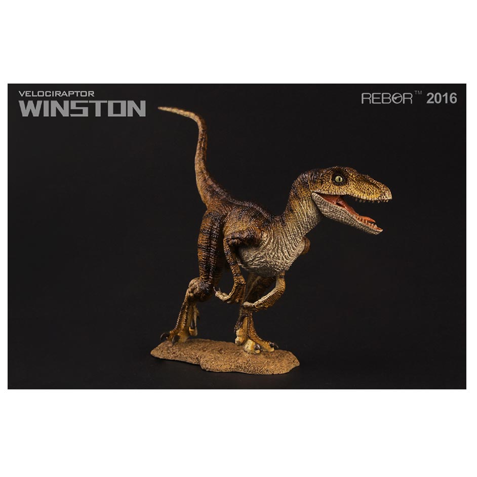 Rebor 1:18 Scale Velociraptor (Winston)