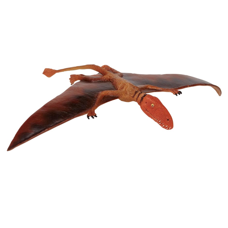 Wild Safari Dinos Dimorphodon Model