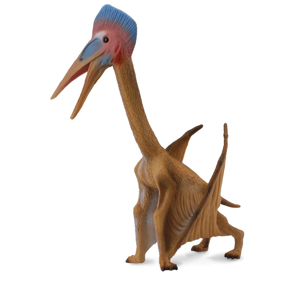 Collecta Hatzegopteryx (Pterosaur) model