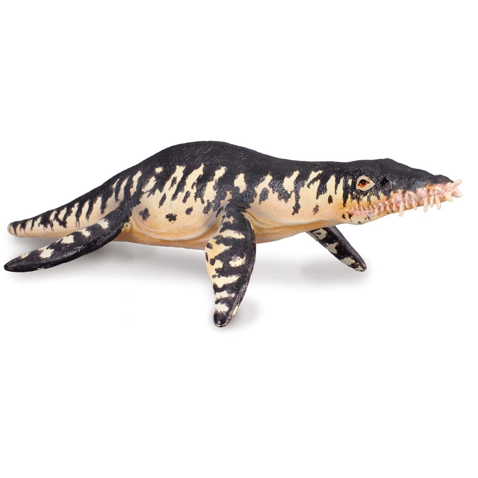 CollectA Liopleurodon model