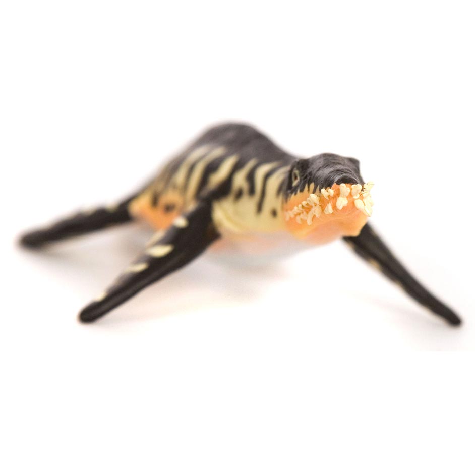 Liopleurodon Marine Reptile Model (Predator X)