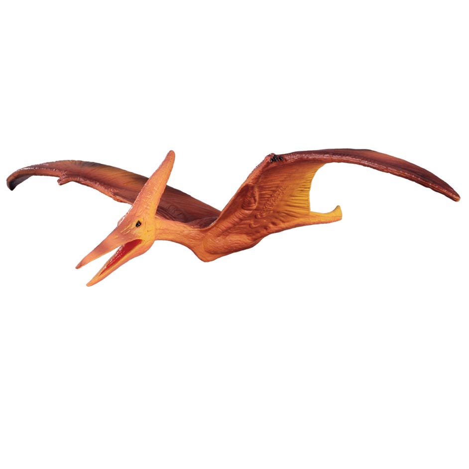 Collecta Pteranodon Model Collecta The Age Of Dinosaurs