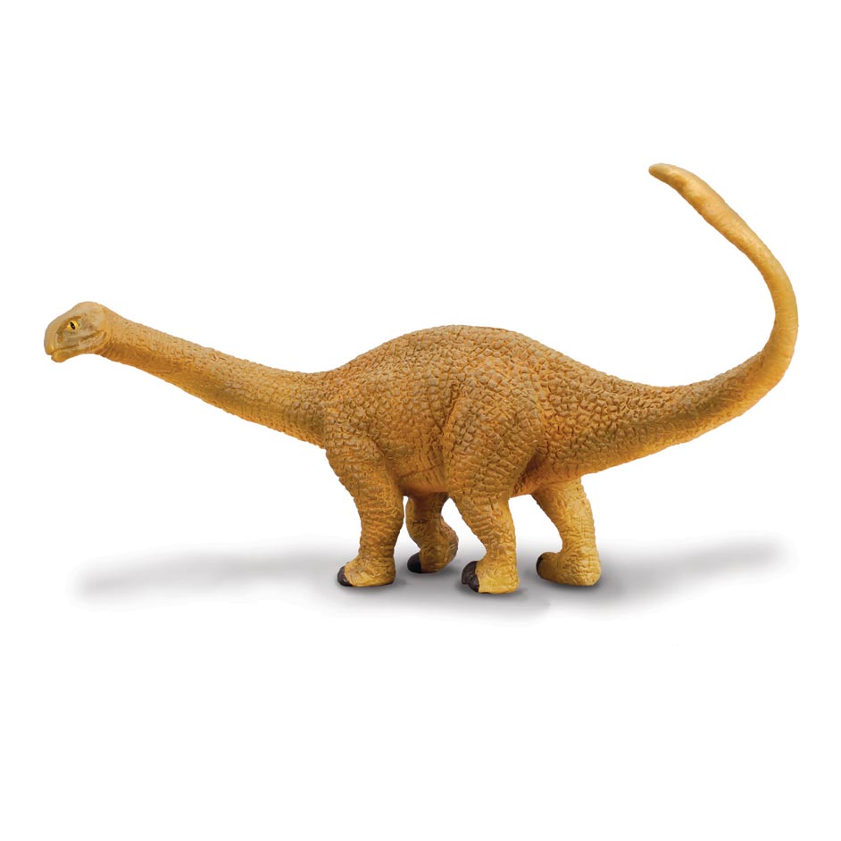 Shunosaurus Dinosaur Model