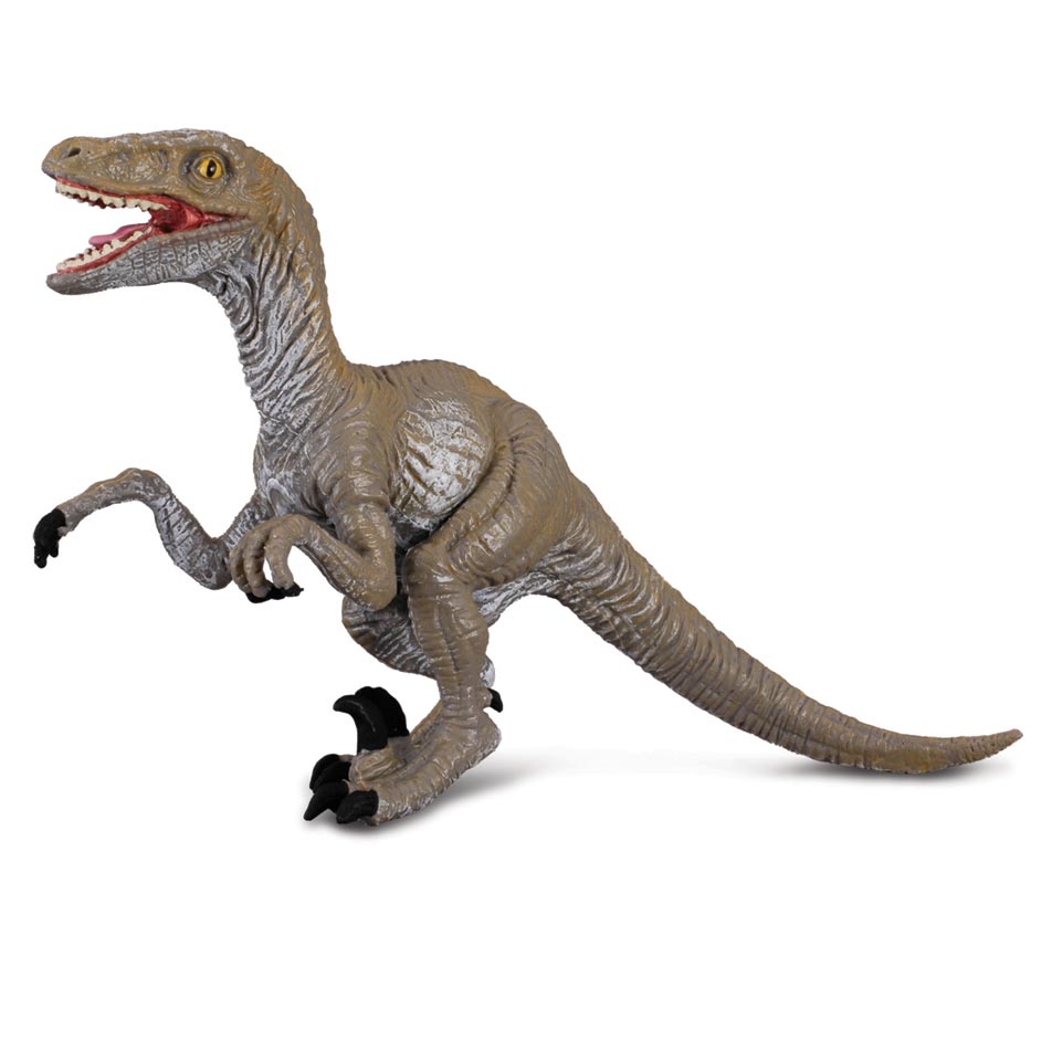 CollectA Velociraptor dinosaur model