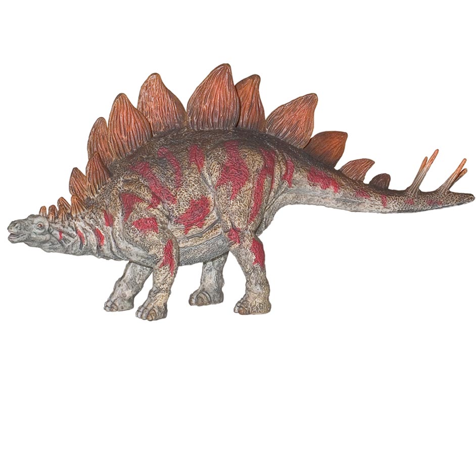 stegosaurus museum