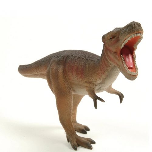 Tyrannosaurus rex Dinosaur Model - Natural History Museum