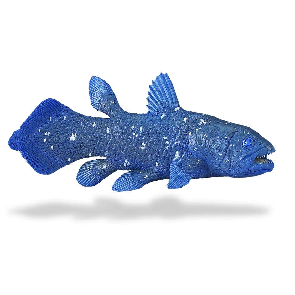 Wild Safari Coelacanth Model