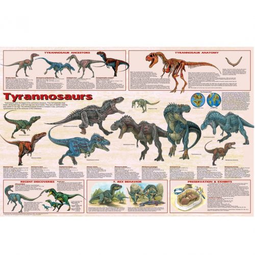 Tyrannosaurus Evolution Dinosaur Poster