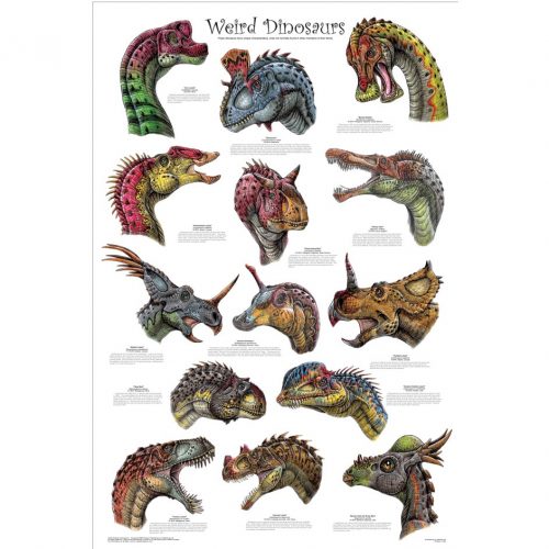 Weird Dinosaurs Poster (Dinosaur Poster)