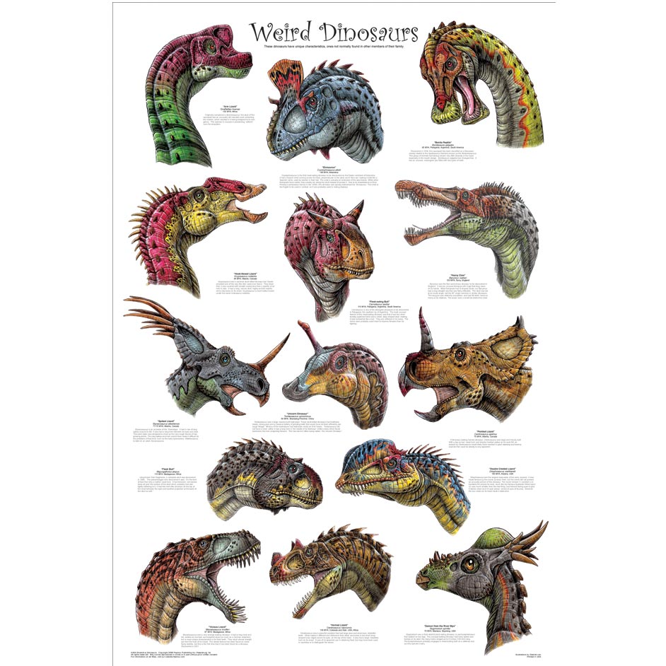 dinosaur with lots of horns on head