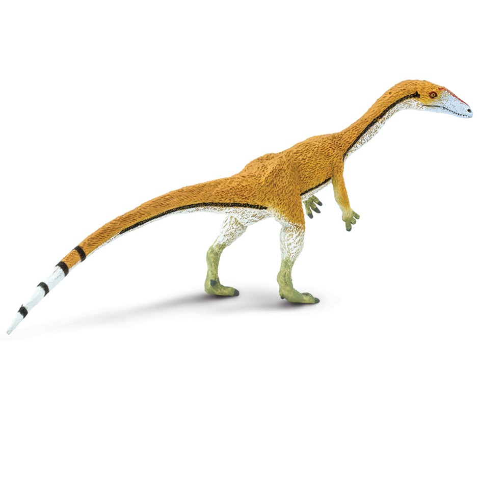 Coelophysis dinosaur model.