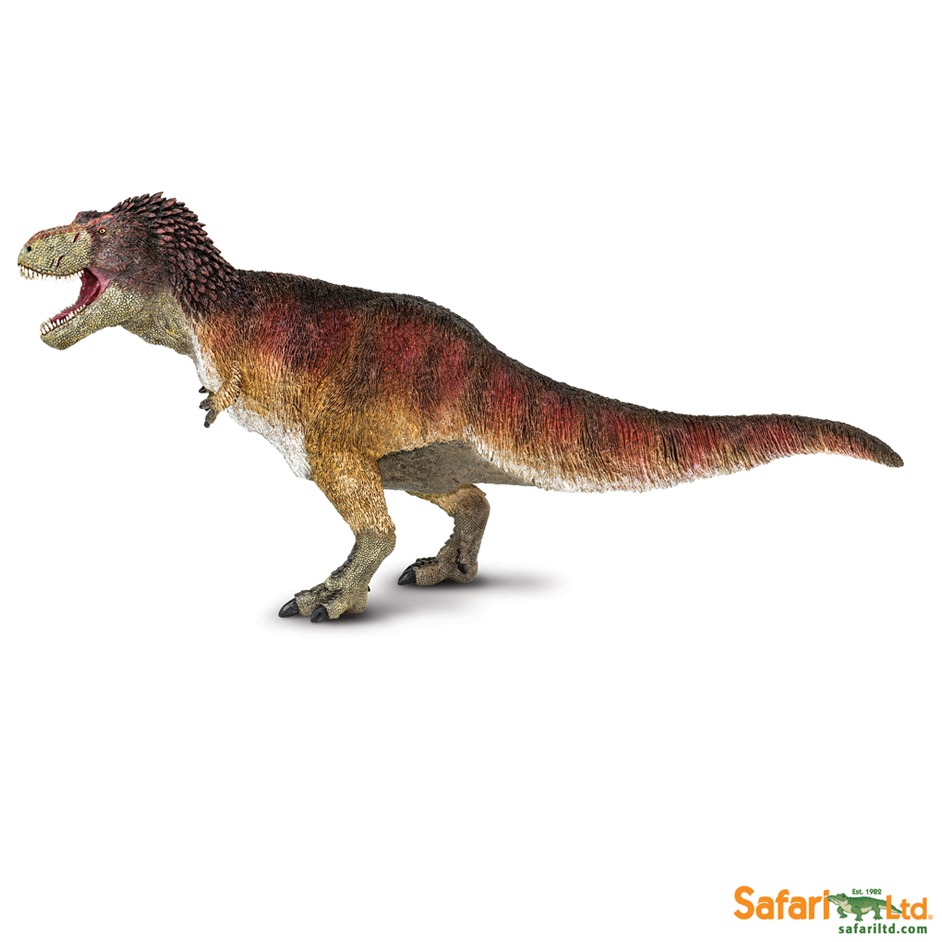 Feathered Tyrannosaurus rex dinosaur model.