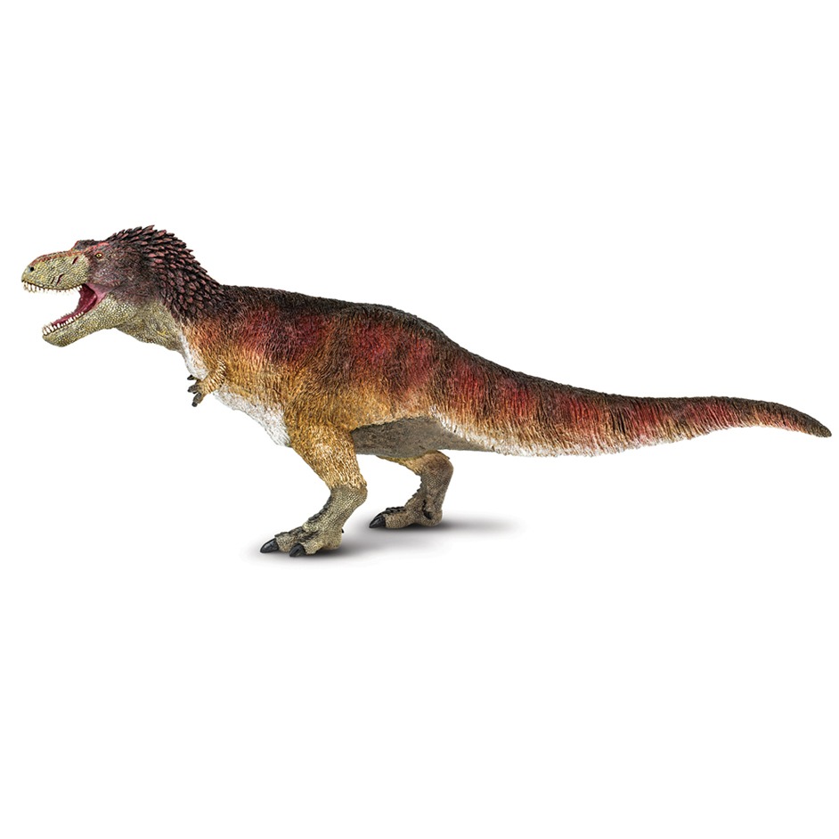 Feathered Tyrannosaurus rex dinosaur model.