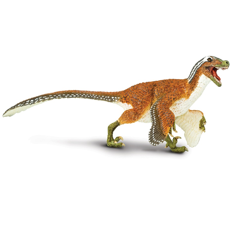 Feathered Velociraptor dinosaur model.